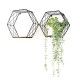 Set etajere metalice hexagonale